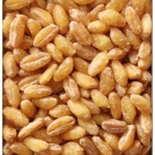 Wheat Grain