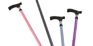 Walking Stick Single Leg