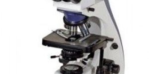 Microscope