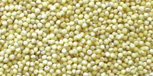 Natural Millet Seed