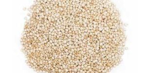 Quinoa Seeds