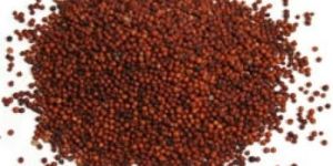 Red Millet Seed