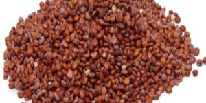 Red Quinoa Grain Seeds