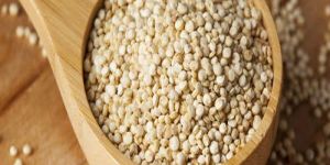 White Quinoa Seeds