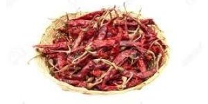 Dry Red Chilli