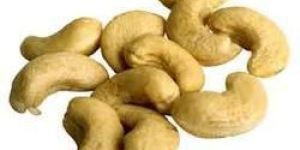Cashew Nut Kernels