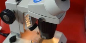 Stereo Microscope