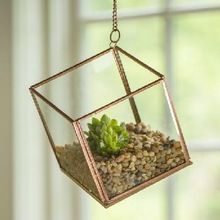 CHAIN HANGING TERRARIUMS