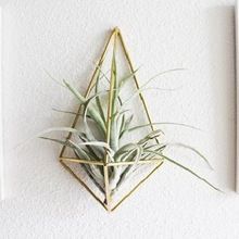 WELL HANGING HOLDER AIR PLANTER