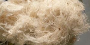 Cotton Yarn Waste Pure Cotton