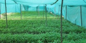 Agricultural Shade Net
