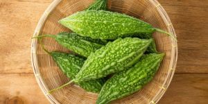 Fresh Bitter Gourd