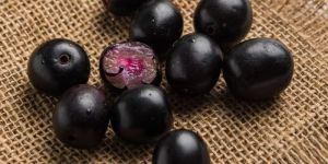 Fresh Jamun