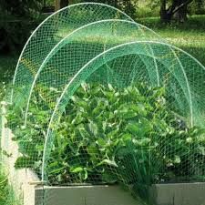 Bird Protection Net