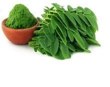 Dried Moringa Leaf Powder