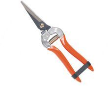 Clipper Pruning Shears