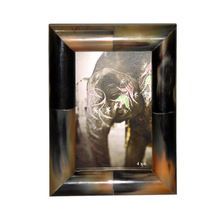 Natural Horn and Wood Photo Frame
