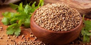 Coriander Seeds