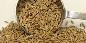 Cumin Seeds
