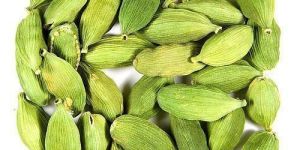 Green Cardamom
