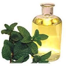 Mentha Oil