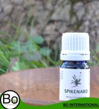 Spikenard Oil