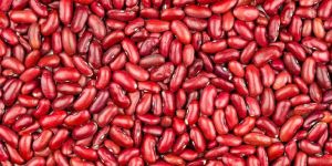 Red Kidney Beans