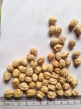 Kabuli Chick Peas