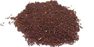Mustard Seeds