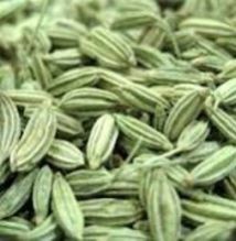 Fennel Seeds