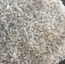 Non Basmati Rice