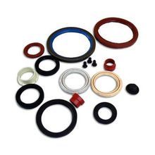 Oil Seal