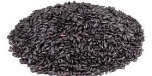Black Rice