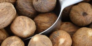Nutmeg
