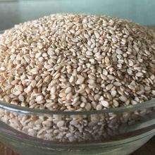 Sesame Seeds