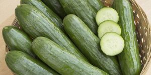 Fresh Cucumber