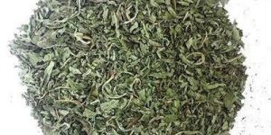 Dried Mint Leaves