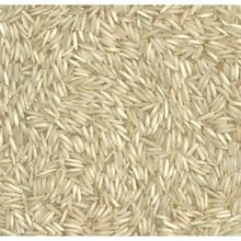 Basmati Golden Rice