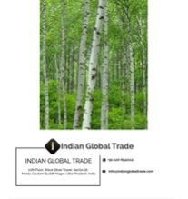 Pure & Natural Birch Bud Sweet Essential Oil