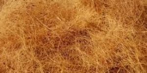 Coconut Fibre