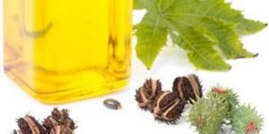 Castor Oil & Derivatives