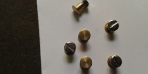 Brass Belt Screw