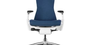 Herman Miller Embody Chair