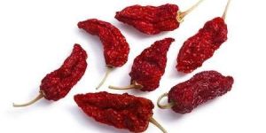 Oven Dried Bhut Jolokia