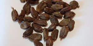 Dried Black Cardamom