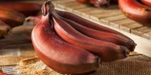 Fresh Red Banana