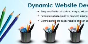 Dynamic Website Development