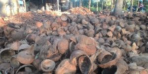 Coconut Shells