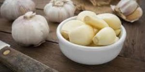 Fresh Garlic