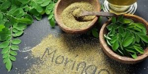 Moringa Leaf Powder